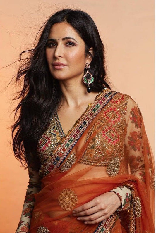 Orange Saree in Net with Sequence Work with Printed Petticoat